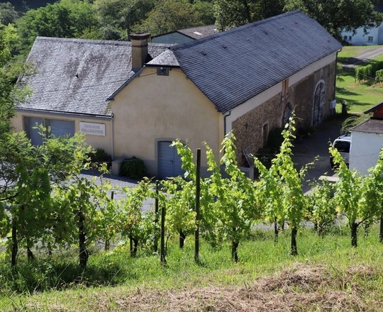 Portes ouvertes en Jurançon : Domaine Bellegarde - MONEIN