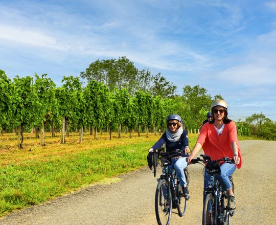 Balade à vélo électrique dans le vignoble du Jurançon - MONEIN