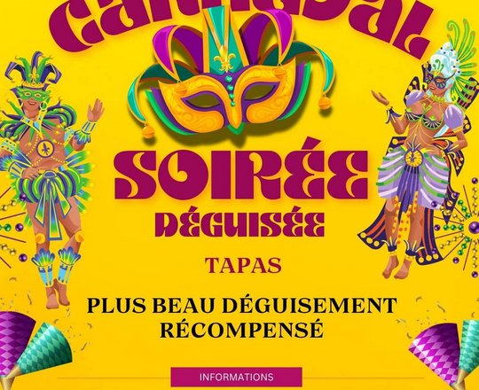 Carnaval : Soirée déguisée - ARTHEZ-DE-BEARN