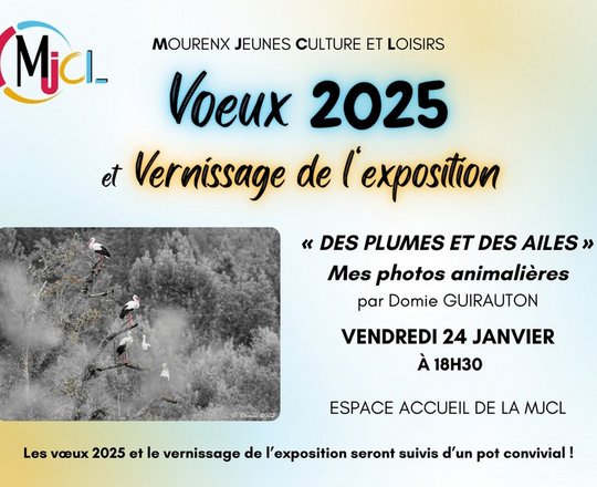 Vernissage exposition : Des plumes et des ailes - MOURENX