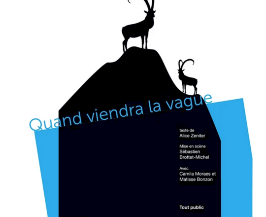 Spectacle : Quand viendra la vague - MONT