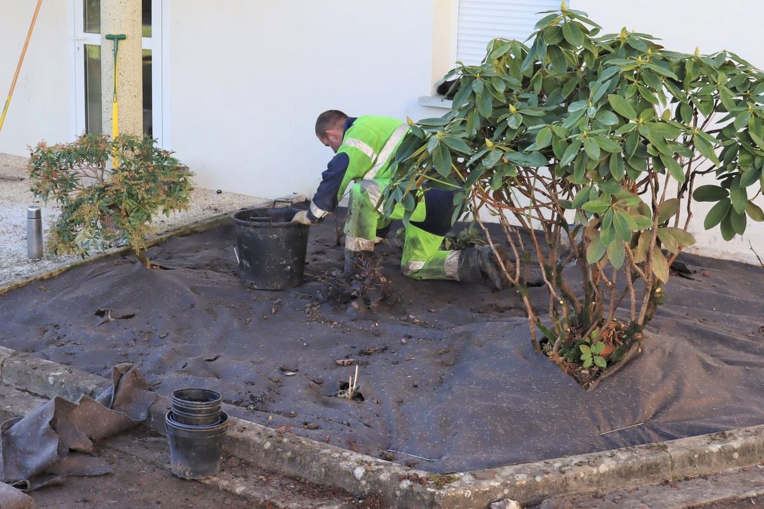 Un des jardinier de Lacq-Orthez qui plante des vivaces sur un massif de Vielleségure