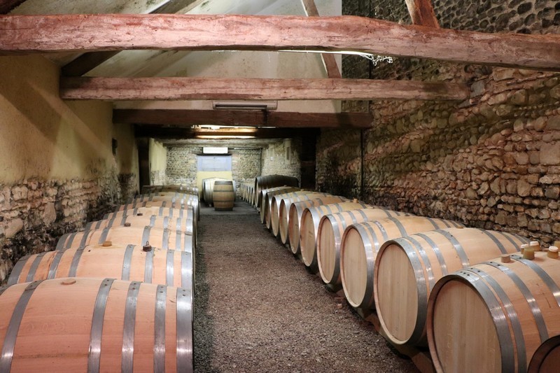 Portes ouvertes en Jurançon : Domaine Bellegarde - MONEIN